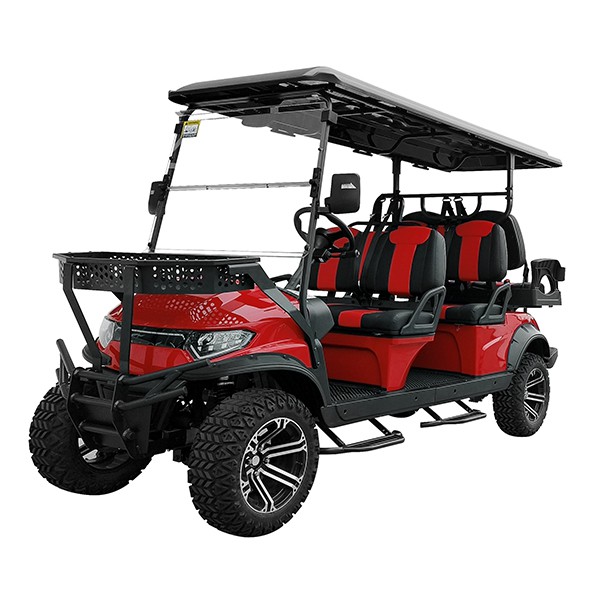 Mobil buggy 6 kursi