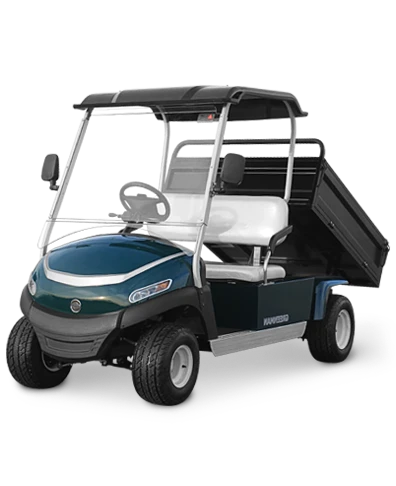 Mini Cargo Car